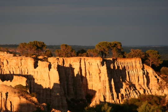 ORGUES DE L ILE SUR TETE
